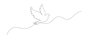 Dove bird of piece pigeon Peace Dove Drawing in One Line: Easy Bird Sketching to Express Calm and Freedom