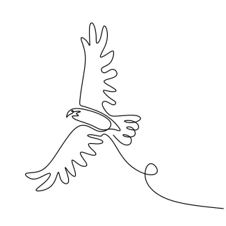 Eagle Bird Flying "Minimalist One Line Eagle Illustration: Capturing the Majesty of Flight"