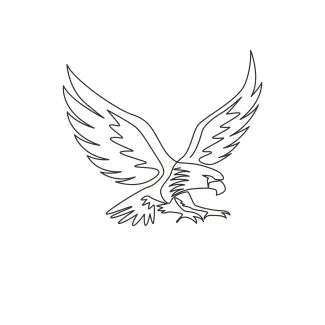 Strong Eagle Bird Falcon One Line Drawing of a Strong Eagle-Falcon: Learn Bold Bird Forms with Ease