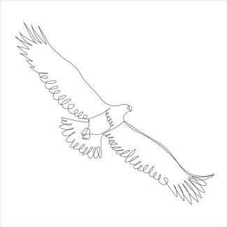 Eagle soars large bird of prey "One Line Soaring Eagle Art: A Minimalist Approach to Powerful Bird Forms"