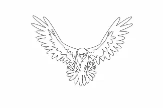 Strong bald eagle Strong Bald Eagle One Line Drawing: Study Powerful Bird Shapes with Simple Technique