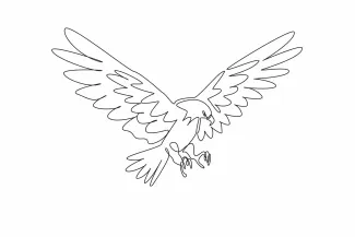 Mighty brave bald eagle strong predator bird Bald Eagle Predator Drawing: Practice Sharp Bird Features in Simple One Line Art