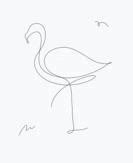 Flamingo "One Line Flamingo Drawing: A Minimalist Study of Unique Bird Shapes"