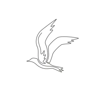 Beauty Seagull Beautiful Flying Bird "Minimalist One Line Seagull Drawing: A Simple and Majestic Coastal Study"
