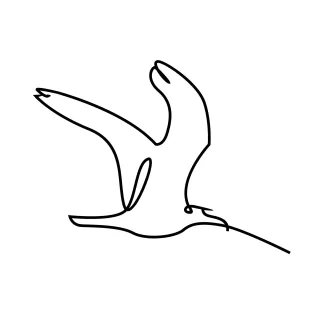 Seagull Flies One-Line Seagull in Flight: Explore Shape and Space with a Minimal Drawing