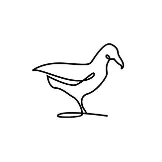 Seagull Flies One-Line Drawing of a Seagull in Motion: Practice Clear Lines and Natural Flight