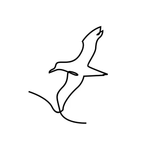 Seagull Flies One-Line Seagull Flight Drawing: Develop Light Motion and Wing Shapes in Art