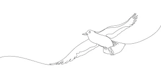Seagull flying "One Line Seagull Art: A Minimalist Approach to Motion in Drawing"
