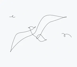 Seagull "One Line Seagull Sketch: A Simplified Approach to Capturing Coastal Bird Motion"