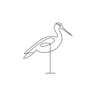 Heron bird "Single Line Heron Bird Drawing: A Simple and Accessible Art Style for All Ages"