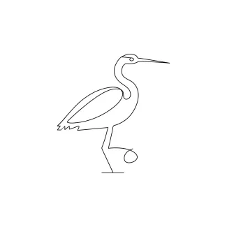 Heron bird "One Line Heron Bird Sketch: A Simple Way to Explore Shape and Form"