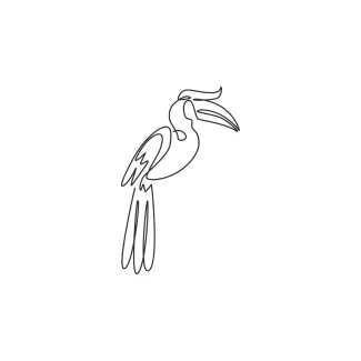 Cute Great Hornbill Large Beak Bird One Line Great Hornbill Drawing: Learn Big Beak Bird Shapes in Easy Steps
