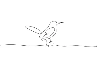 Cute Hummingbird One Line Cute Hummingbird Drawing: Small, Fun Bird for Practice and Detail