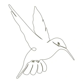 Wild Hummingbird One-Line Hummingbird Sketch: Practice Quick Wing Motion and Delicate Forms