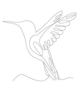 Hummingbird "Minimalist Hummingbird Sketch: A One Line Study of Tiny and Lively Bird Shapes"