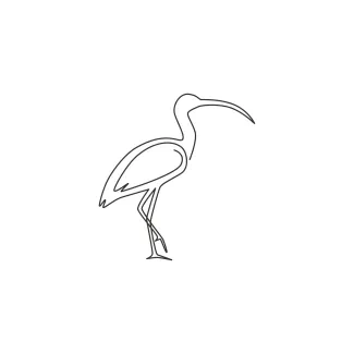 Elegant Ibis Bird "One Line Ibis Drawing: A Minimalist Illustration of Elegance and Precision"