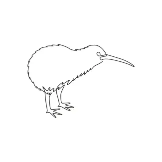 Little Kiwi Easy Kiwi Bird Drawing in One Line: Practice Simple Animal Shapes for All Ages