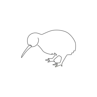 Cute Kiwi One Line Cute Kiwi Bird Sketch: Learn to Draw with Humor and Simplicity