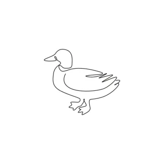 Cute Mallard Waterfowl Duck "Minimalist One Line Mallard Drawing: Capturing a Familiar and Friendly Waterbird"