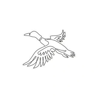 Flying Mallard Duck "One Line Mallard Drawing: A Minimalist Approach to Capturing Motion and Elegance"