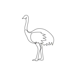 Large Ostrich Long Necked Bird "One Line Ostrich Drawing: A Minimalist Study of the World's Largest Bird"