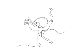 Ostrich Simple One-Line Ostrich Drawing: Learn Big Bird Shapes with Easy Art Practice