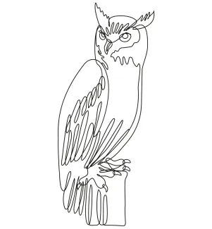 Tiger Owl "One Line Tiger Owl Drawing: A Minimalist Illustration of a Rare and Striking Bird"