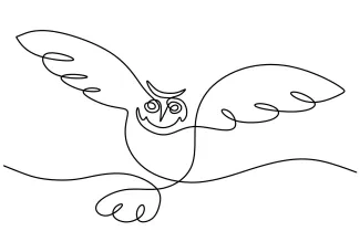 Flying Owl One-Line Drawing of a Flying Owl: Practice Natural Form in Simple Bird Sketching