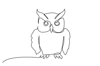 Owl One Line Owl Drawing for Beginners: Learn Bird Features with Clear and Simple Shapes
