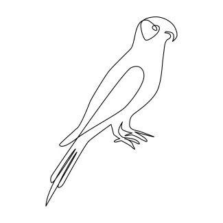 Parrot bird Easy One Line Parrot Bird Drawing: Practice Curves and Balance in Fun Bird Art