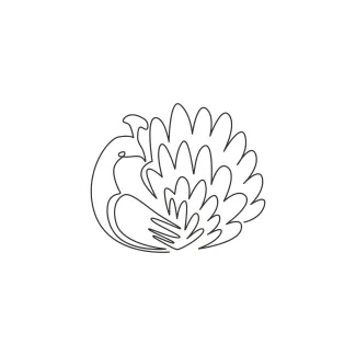 Pretty Peacock Large Beauty Bird "One Line Peacock Drawing: A Minimalist Approach to Elegance and Display"