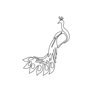 Pretty Peacock Large Beauty Bird "Minimalist One Line Peacock Drawing: Capturing Vibrance and Elegance in Simple Art"