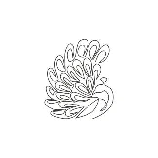 Beauty Peacock Big Pretty Bird "One Line Peacock Drawing: A Minimalist Approach to Capturing Ornate Elegance"