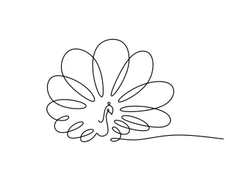 Peacock One-Line Peacock Drawing: Discover Bird Form and Elegance with Simple Shapes
