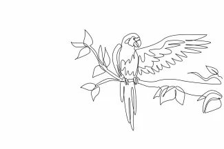 Cute parrot bird macaw bird One Line Macaw Drawing: Learn to Draw Friendly Parrot Forms with Simple Lines