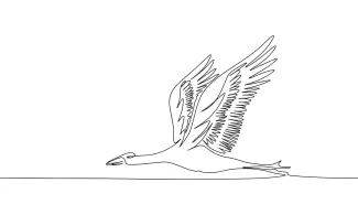 Stork Bird "Minimalist One-Line Stork Drawing: Capturing a Majestic Wading Bird in Simple Art"