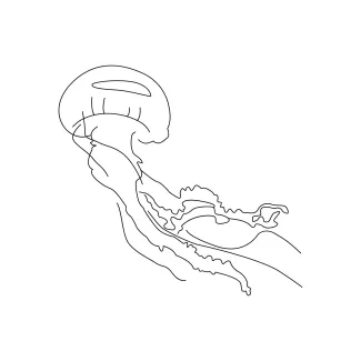 Easy Marine Life Drawing of Jellyfish with Single Line Art