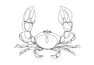 Crab One-Line Crab Sketch for Young Artists to Learn Simple Animal Structure