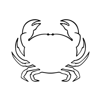 Crab One-Line Crab Drawing Guide: A Simple Way to Learn Symmetry and Shape