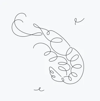 Shrimp Draw a Shrimp in a Single Line to Learn Outline and Form Basics