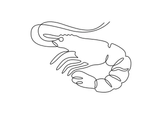 Shrimp One-Line Shrimp Drawing for Practicing Simplified Animal Shapes