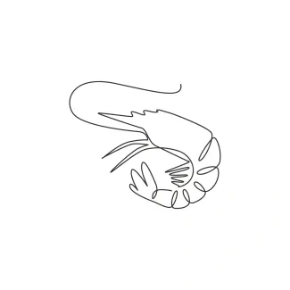 Shrimp Learn to Draw a Shrimp with One Line: A Creative Way to Train Observation