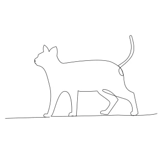  Line Cat Sketch – Fun and Easy Practice for Shape and Form Learning