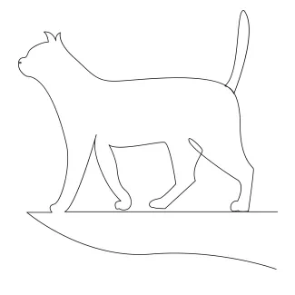  Line Drawing of a Calm Cat – Practice with Simple and Soothing Shapes