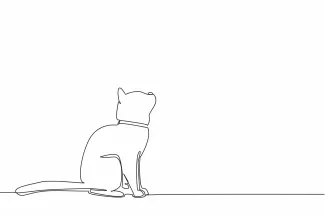 Siamese Cat  Line Drawing – A Simple Way to Show Personality and Shape