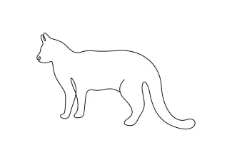 Practice Drawing a Cat in One Line – Perfect for Learning Focus and Form