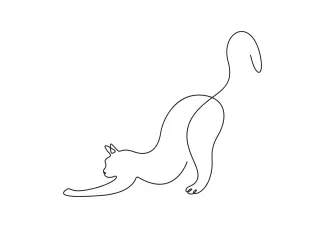 Cat Drawing in One Line – Simple Practice to Improve Drawing Focus and Confidence