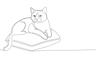 Cat on Pillow  Line Drawing – A Cozy Practice for Learning Simple Animal Shapes