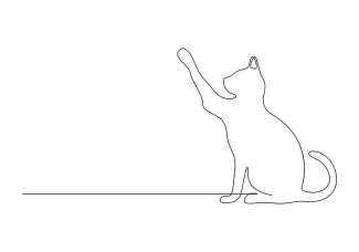 Easy  Line Cat Drawing for Beginners to Explore Artistic Confidence