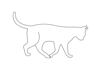 Practice Drawing with Simple Line Art: A Cat for Creative Exploration